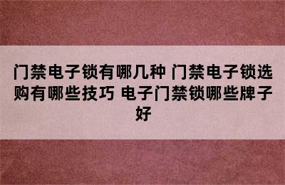 门禁电子锁有哪几种 门禁电子锁选购有哪些技巧 电子门禁锁哪些牌子好